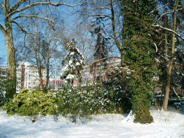 Страсбург зимой (фото 10)