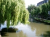 Страсбург летом (фото 22)